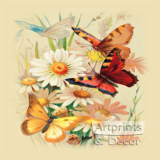 Butterflies & Daisies - Framed Art Print