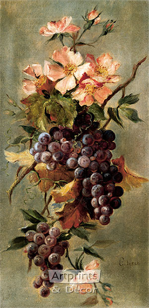 Vineyard Floral by G. Lynch - Framed Art Print
