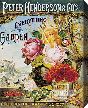 Peter Henderson & Co - 1887 Vintage Garden Seed Packet - Stretched Canvas Art Print
