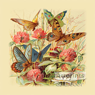 Butterflies & Clover - Framed Art Print