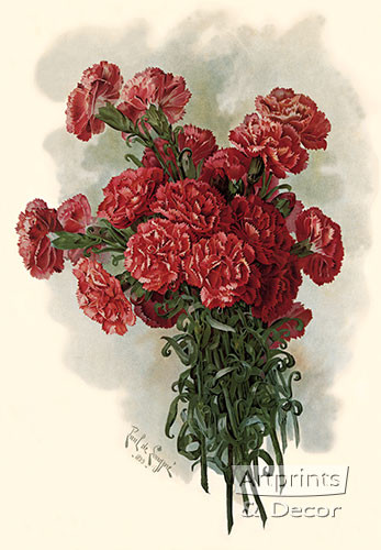 Lawson Pink Carnations by Paul de Longpre - Framed Art Print