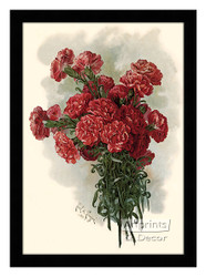 Lawson Pink Carnations - Framed Art Print