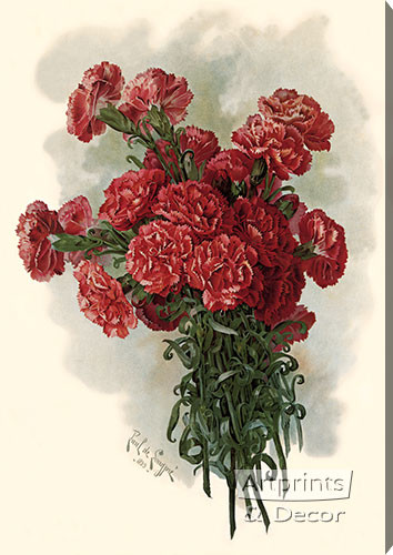 Lawson Pink Carnations by Paul de Longpre - Stretched Canvas Art Print