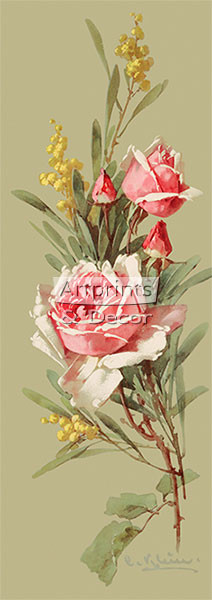 Roses & Wildflowers by Catherine Klein - Framed Art Print