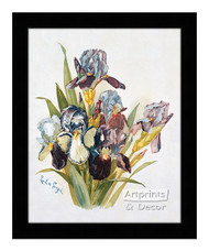 Purple Irises - Framed Art Print