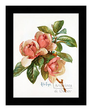 Pink Magnolia Blossoms - Framed Art Print