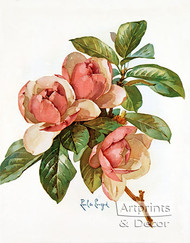 Pink Magnolia Blossoms by Pink Magnolia Blossoms - Art Print