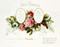Pink Roses Marriage Certificate - Art Print