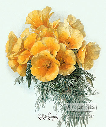 Yellow Poppies by Paul de Longpre - Framed Art Print