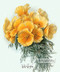 Yellow Poppies by Paul de Longpre - Framed Art Print