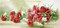 A Panel Of Carnations by Maud Stumm - Art Print