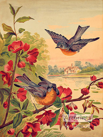 Blossoms & Bluebirds - Framed Art Print