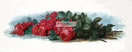 American Beauty Roses by Paul de Longpre - Art Print