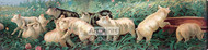 A Yard of Pigs by William De La Montagne Cary - Stretched Canvas Art Print