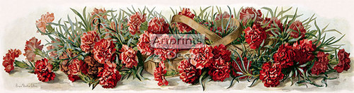 Carnations by Grace Barton Allen - Framed Art Print