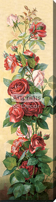 Study of Roses by V. Sangon - Stretched Canvas Art Print