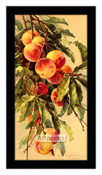 Peaches - Framed Art Print