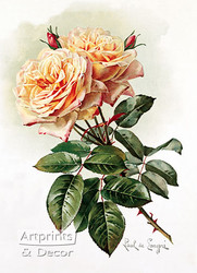 Two Yellow Roses by Paul de Longpre - Art Print