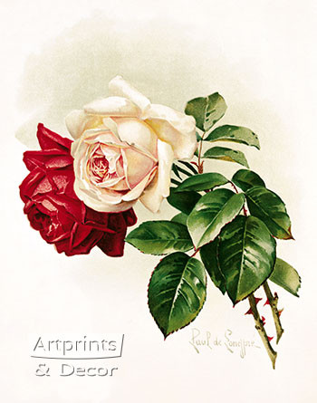 White and Crimson Roses by Paul de Longpre - Framed Art Print