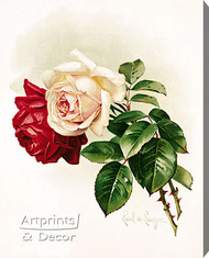 White and Crimson Roses by Paul de Longpre - Stretched Canvas Art Print