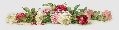 Study of Roses by Paul de Longpre - Framed Art Print