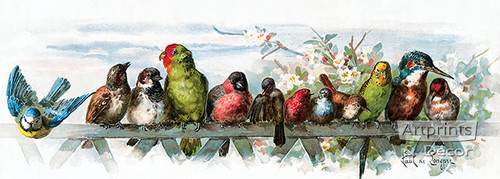Feathered Friends by Paul de Longpre - Framed Art Print