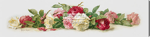 Study of Roses by Paul de Longpre - Stretched Canvas Art Print