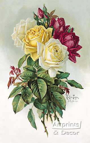 Royal Roses by Paul de Longpre - Framed Art Print