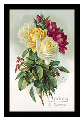 Royal Roses - Framed Art Print