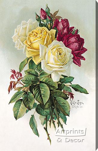 Royal Roses by Paul de Longpre - Stretched Canvas Art Print