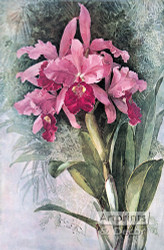 Orchids by Paul de Longpre - Art Print