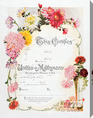 Chrysanthemum Marriage Certificate - Stretched Canvas Art Print