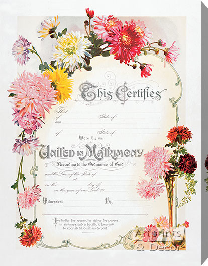 Chrysanthemum Marriage Certificate - Stretched Canvas Art Print