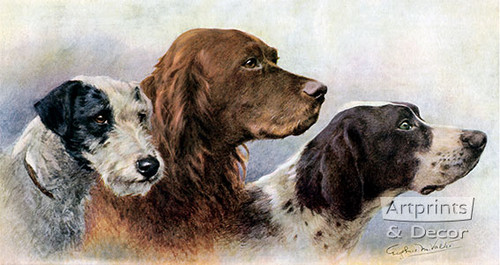 Kennel Companions by E. M. Valter - Framed Art Print