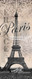 Eiffel Tower - Paris by Todd Williams - Framed Art Print