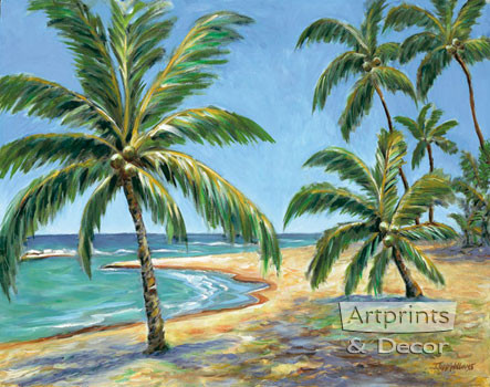 Tropical Beach by Todd Williams - Framed Art Print