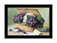 Invoice of Violets - Framed Art Print