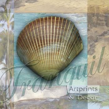Tranquil Shell by Todd Williams - Framed Art Print