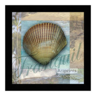 *Tranquil Shell - Framed Art Print