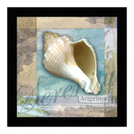 *Serenity Shell - Framed Art Print