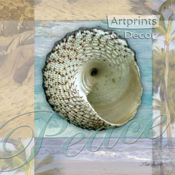 Peace Shell by Todd Williams - Framed Art Print