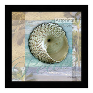 *Peace Shell - Framed Art Print