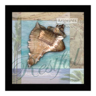 *Restful Shell - Framed Art Print