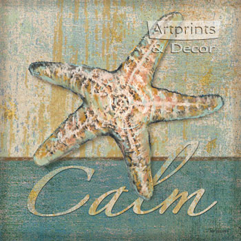 Calm Shell by Todd Williams - Framed Art Print