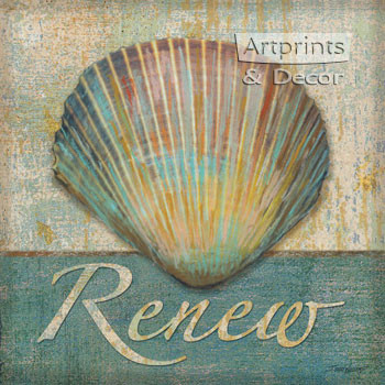 Renew Shell by Todd Williams - Framed Art Print