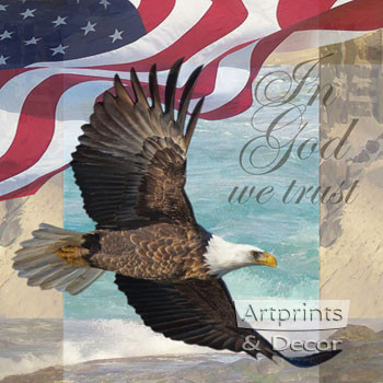 Freedom I by Todd Williams - Framed Art Print