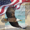 Freedom I by Todd Williams - Framed Art Print