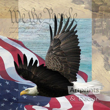 Freedom II by Todd Williams - Framed Art Print