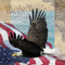 Freedom II by Todd Williams - Framed Art Print