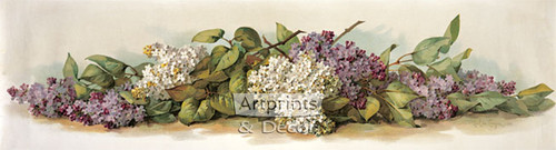 White & Purple Lilacs by Paul de Longpre - Framed Art Print